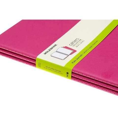  3  Moleskine Cahier Journal XL, 120 .,  , 