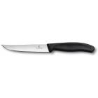 ��� ��� ������ � ����� VICTORINOX SwissClassic 