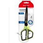 ������� BRAUBERG 