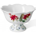 P060166 Colibri ����������