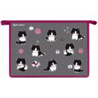     BRAUBERG 4, 2 , , Cat patches, 272211