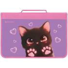    BRAUBERG 4  ,  , 1 , Paw prints, 273383