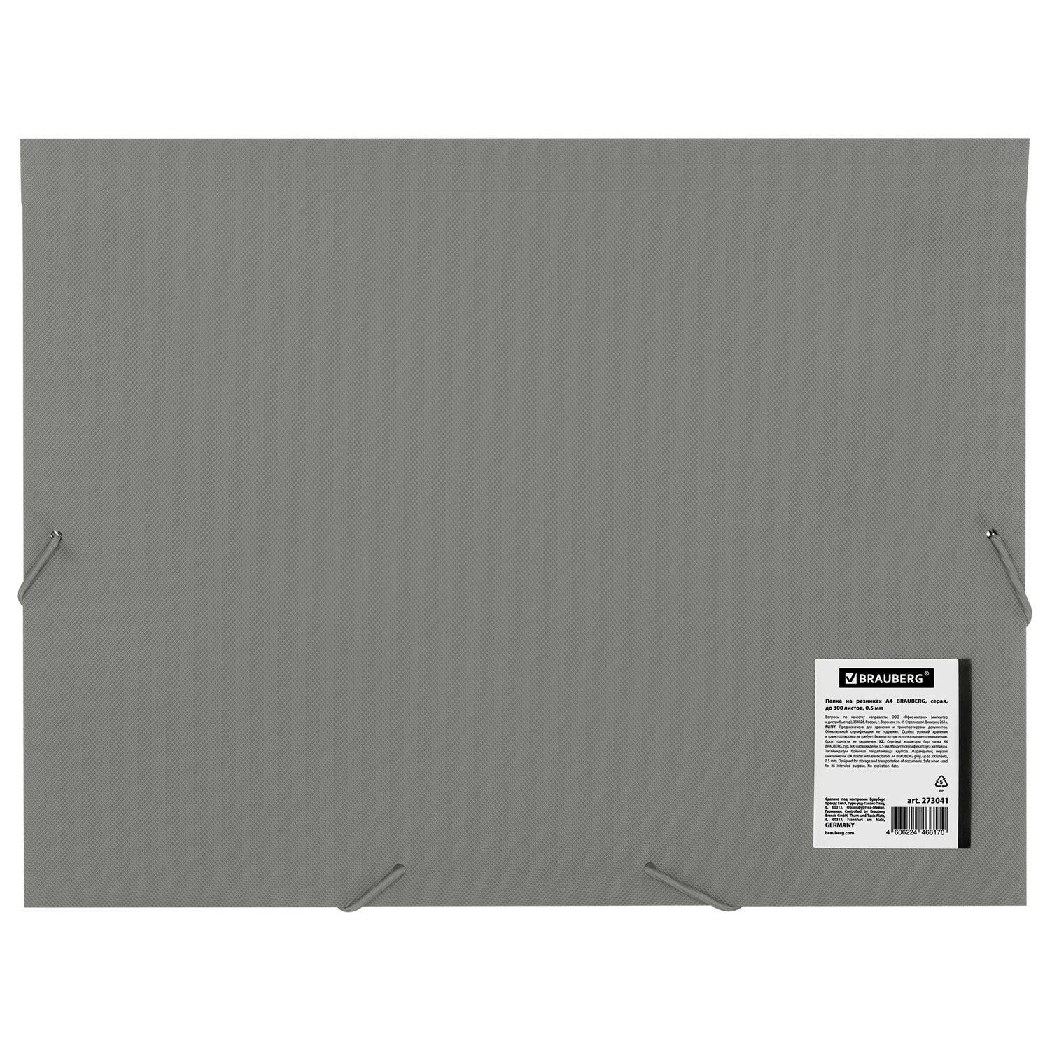 ����� �� �������� �4 BRAUBERG PIXEL, �����, �� 300 ������, 0,5 ��, 273041