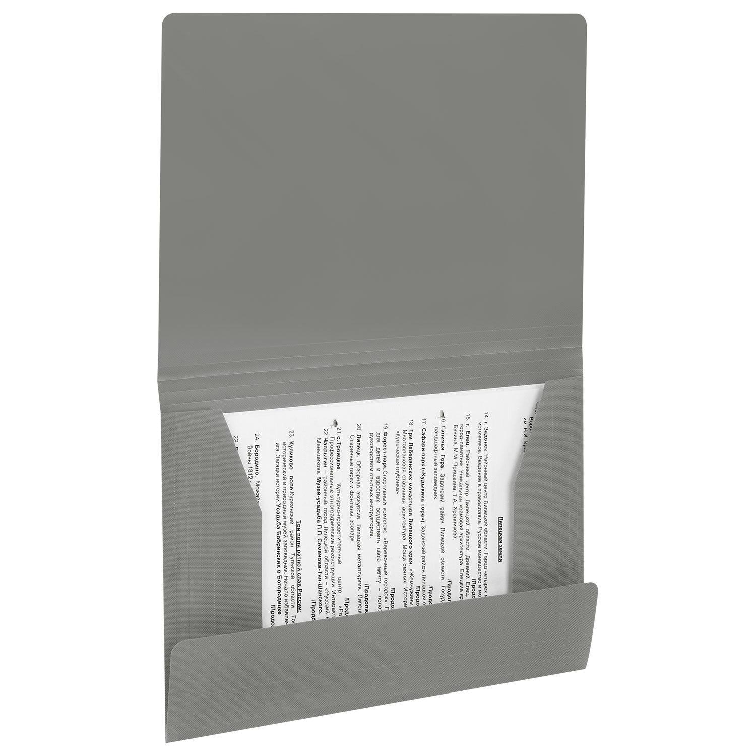 ����� �� �������� �4 BRAUBERG PIXEL, �����, �� 300 ������, 0,5 ��, 273041