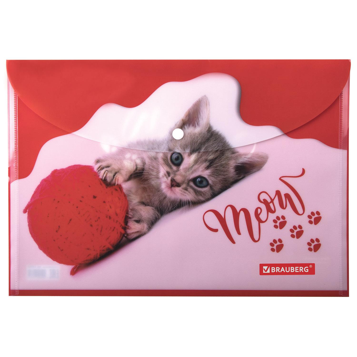 -   BRAUBERG FUNNY CAT, 4, 160 ,  , 228038
