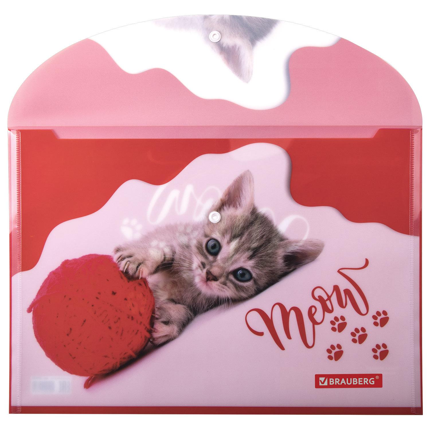 -   BRAUBERG FUNNY CAT, 4, 160 ,  , 228038