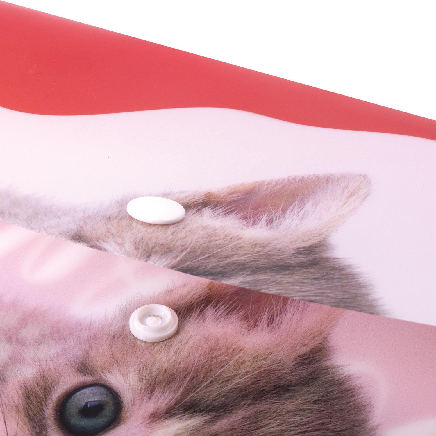-   BRAUBERG FUNNY CAT, 4, 160 ,  , 228038