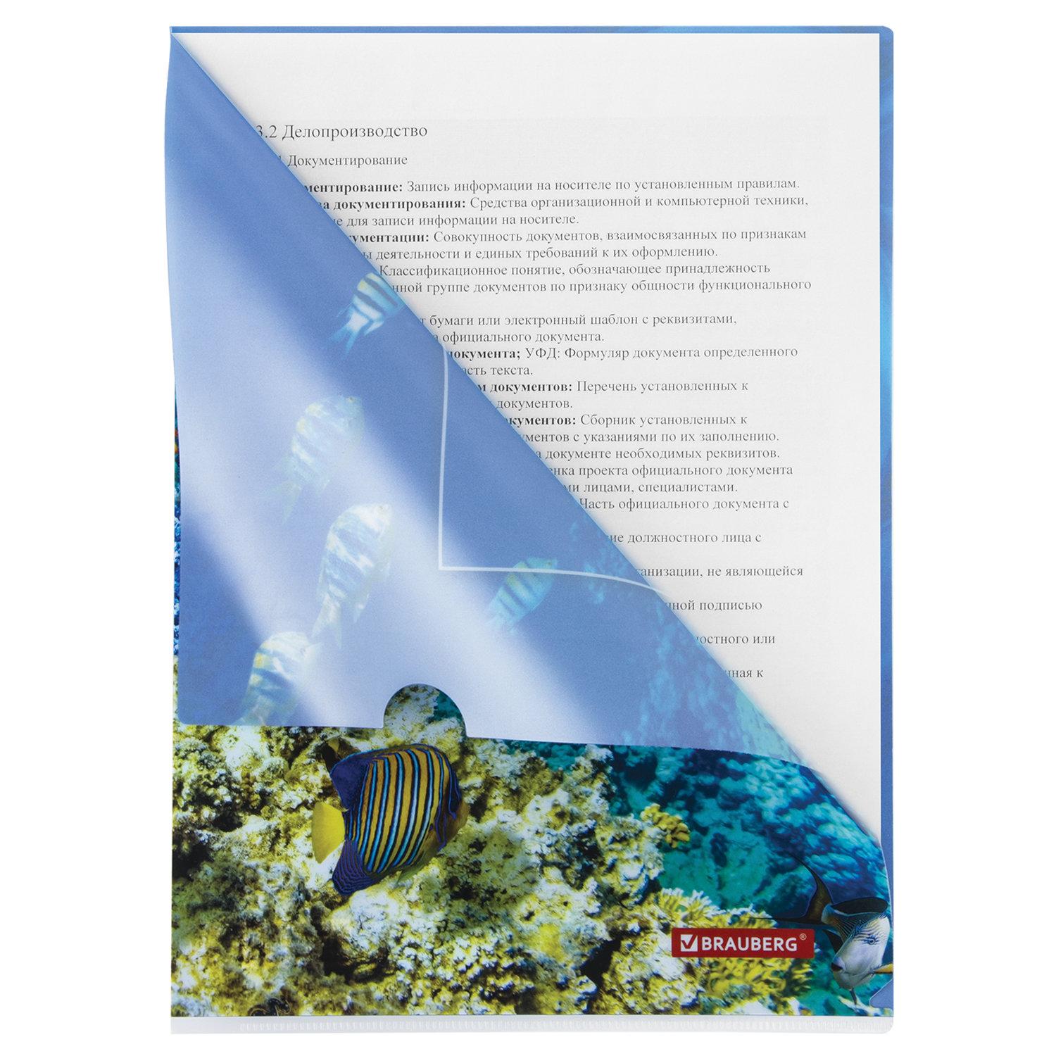 - BRAUBERG SEA WORLD, 4, 150 ,  , 228042