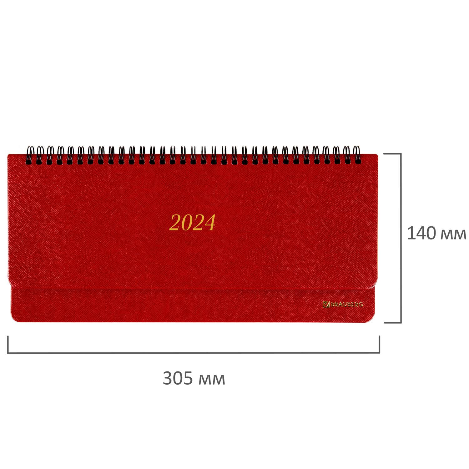   2024 305140 , BRAUBERG Iguana,  , , 114809