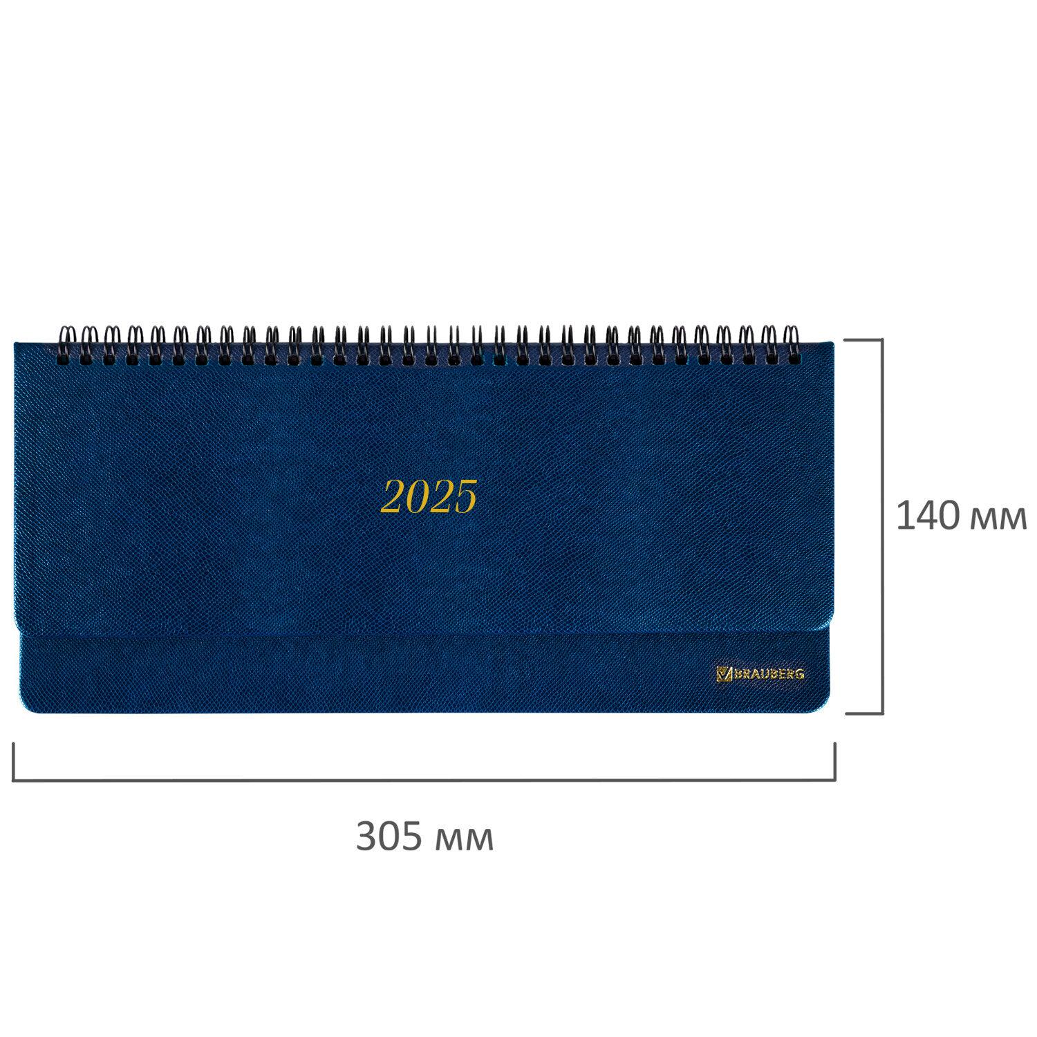   2025 305140  BRAUBERG Iguana,  , , 115695