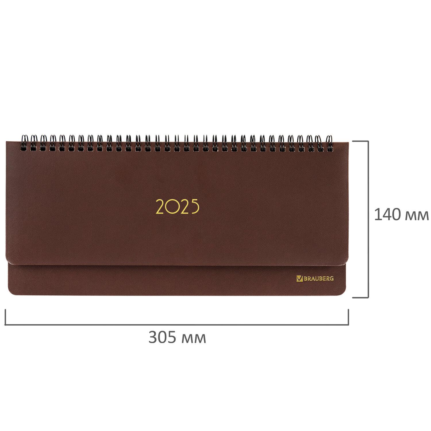  2025 305140  BRAUBERG Select,  , , 115702