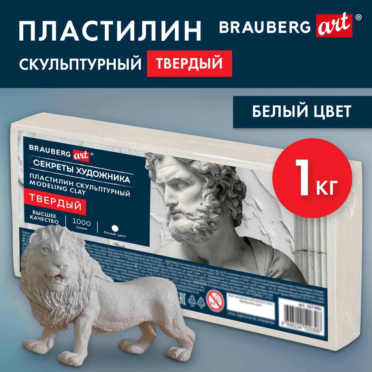      , 1 , BRAUBERG ART, 107486