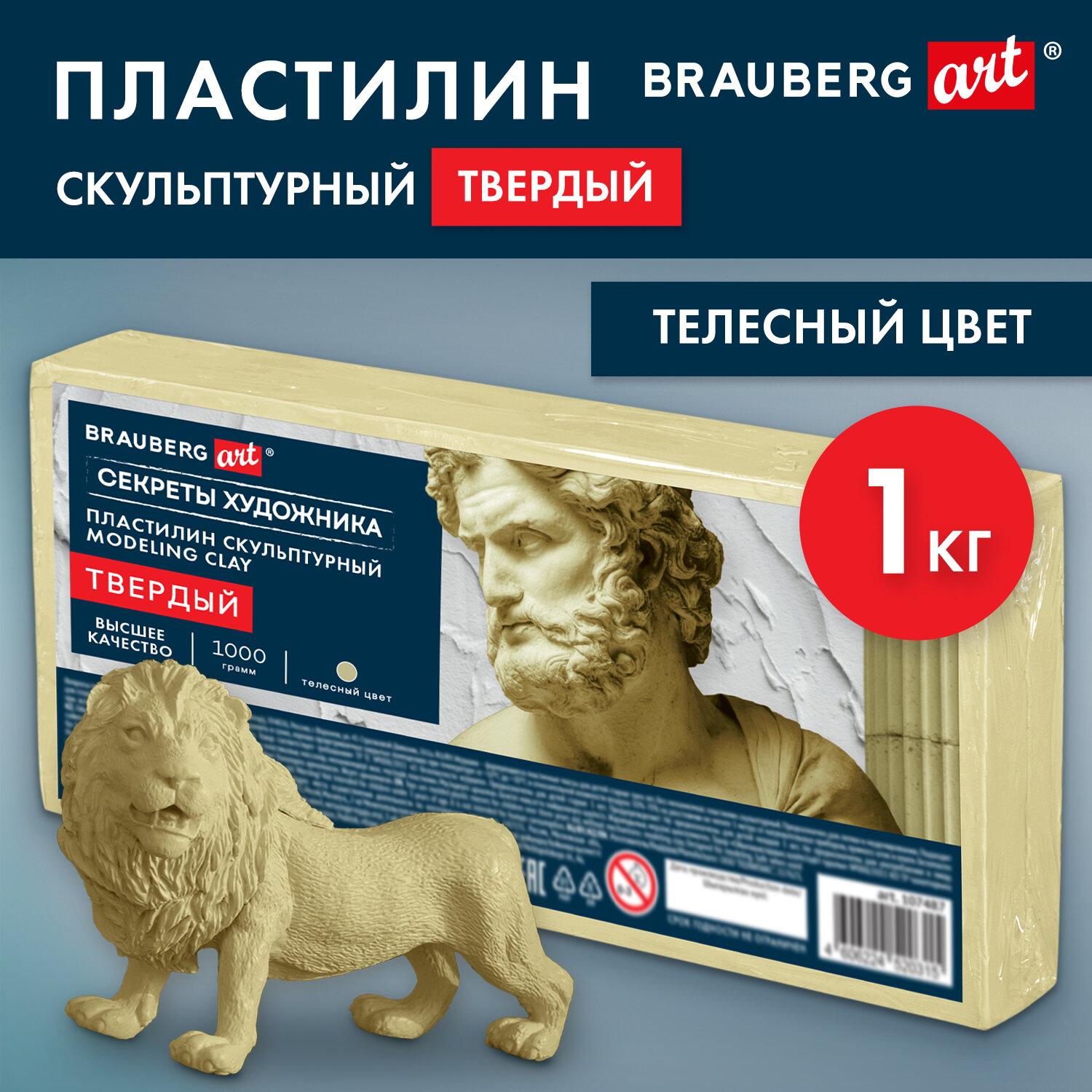 ��������� ������������ ������� �������� ������� ���������, 1 ��, BRAUBERG ART, 107487