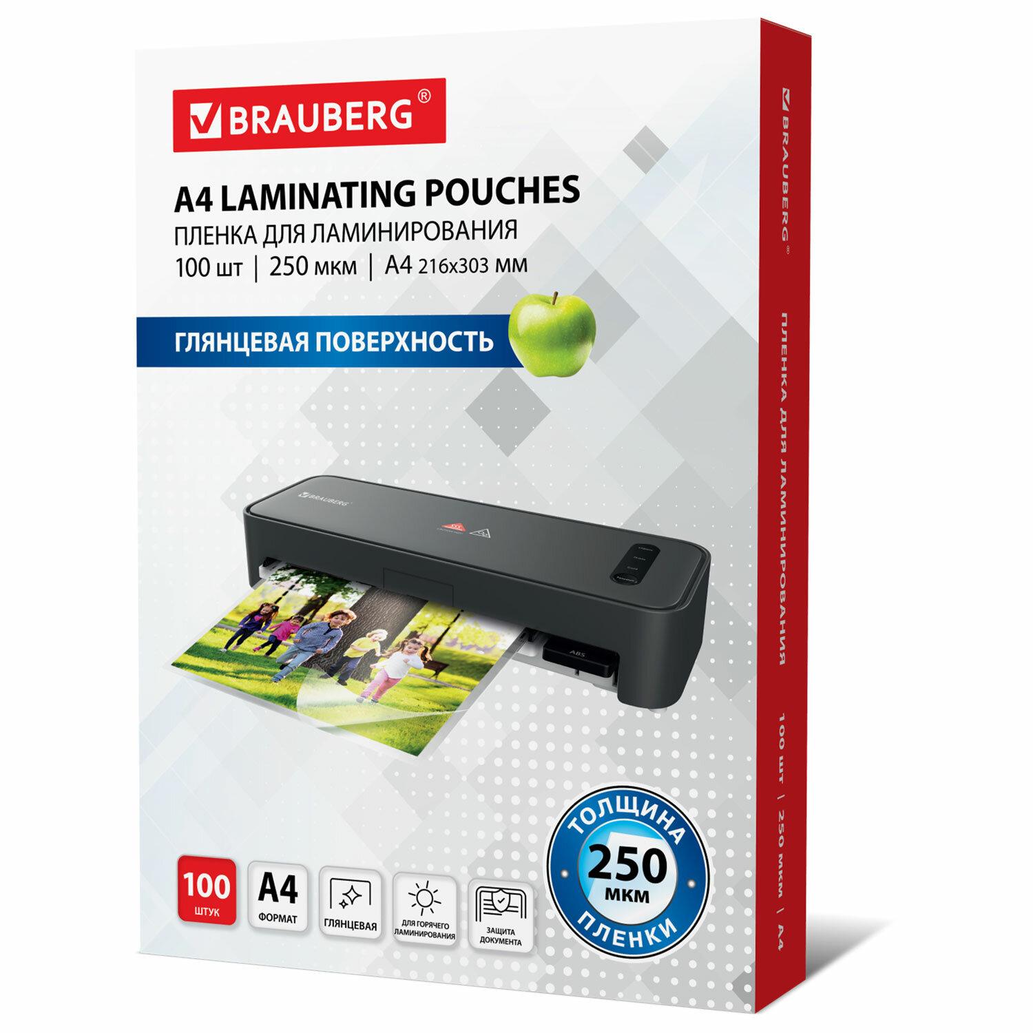 -   4,  100 ., 250 , BRAUBERG, 530897