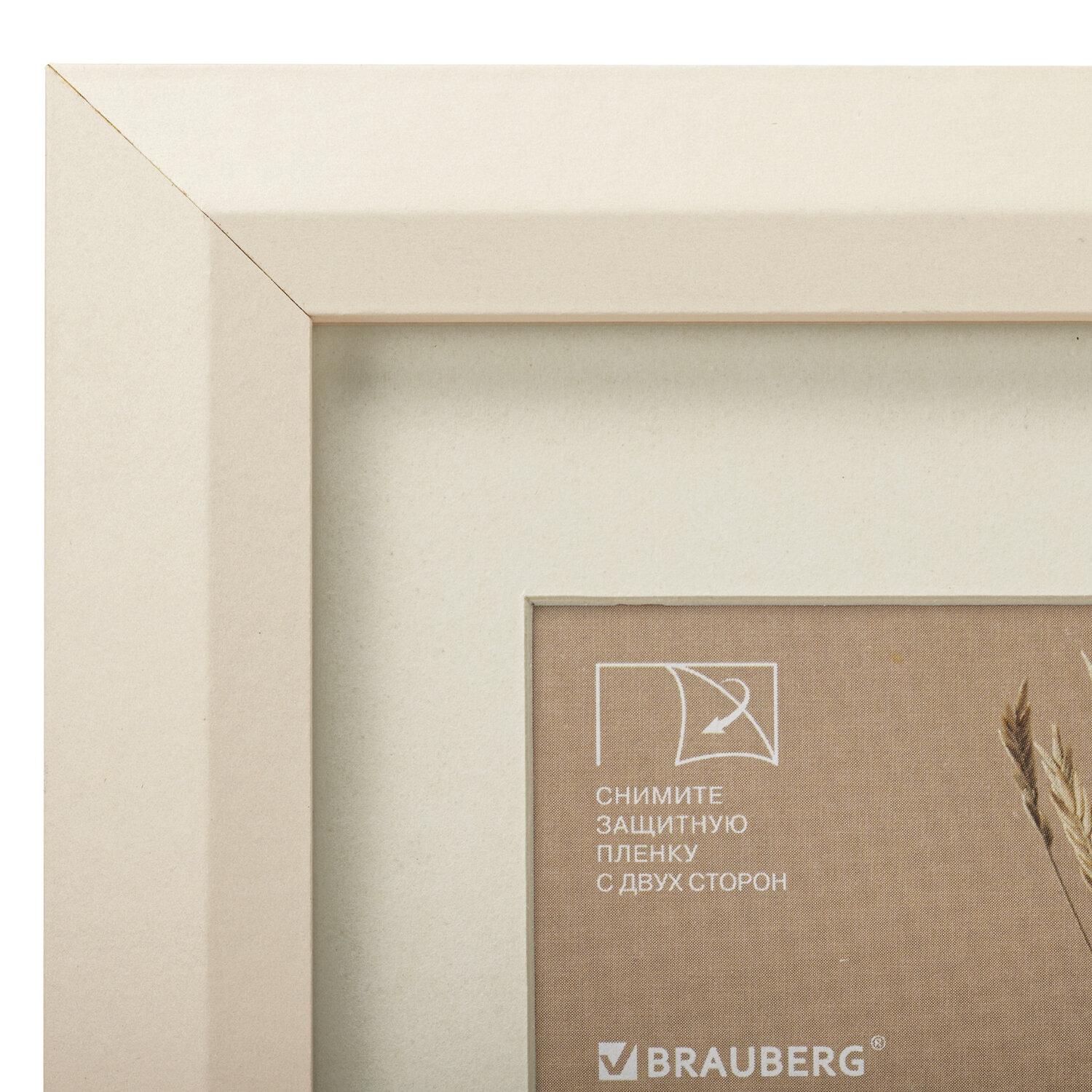  1521    1015  ,  IKEA,  26 , , BRAUBERG Zool,   , 391374