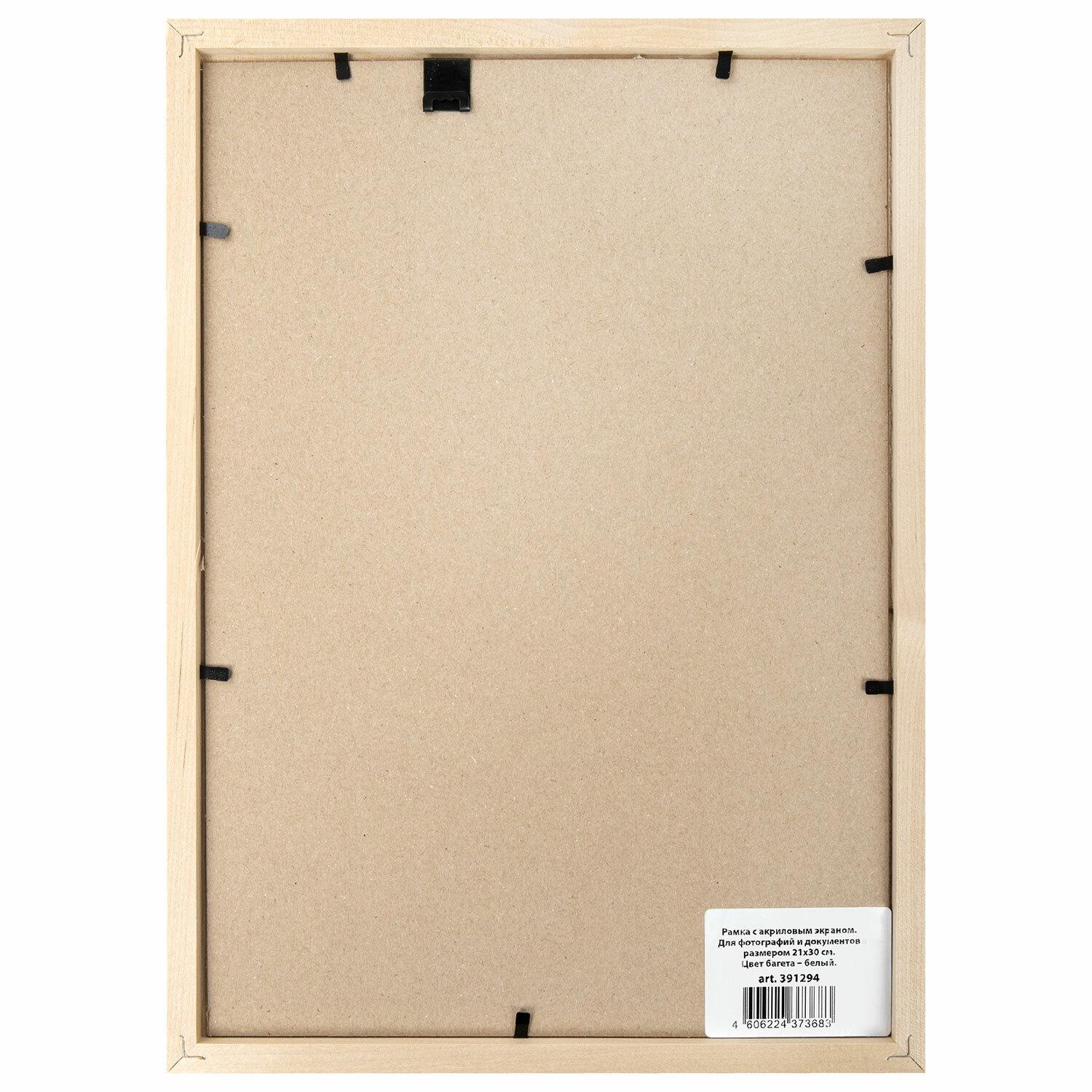  2130 , ,  14 , BRAUBERG Elegant, ,  , 391294