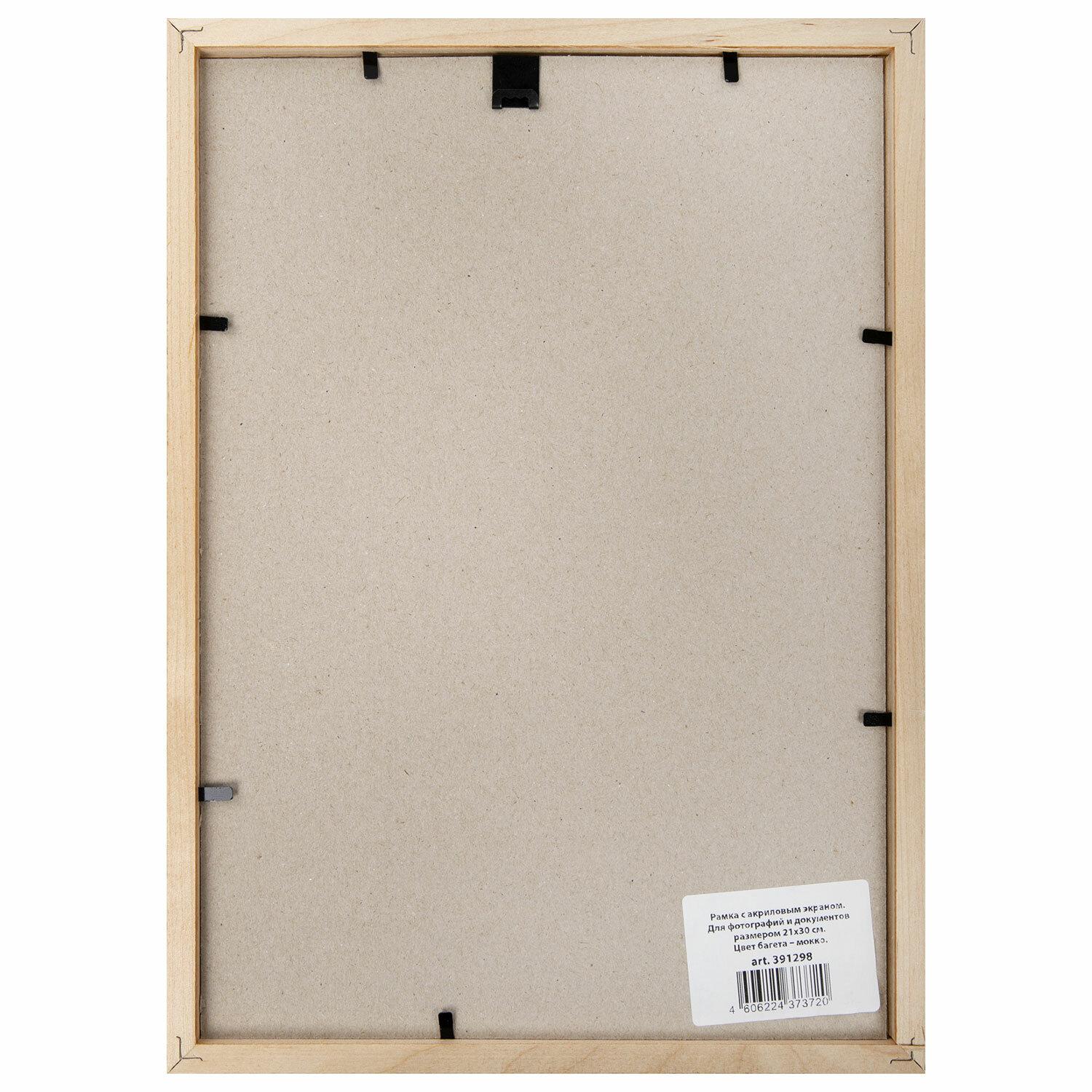 2130 , ,  14 , BRAUBERG Elegant, ,  , 391298