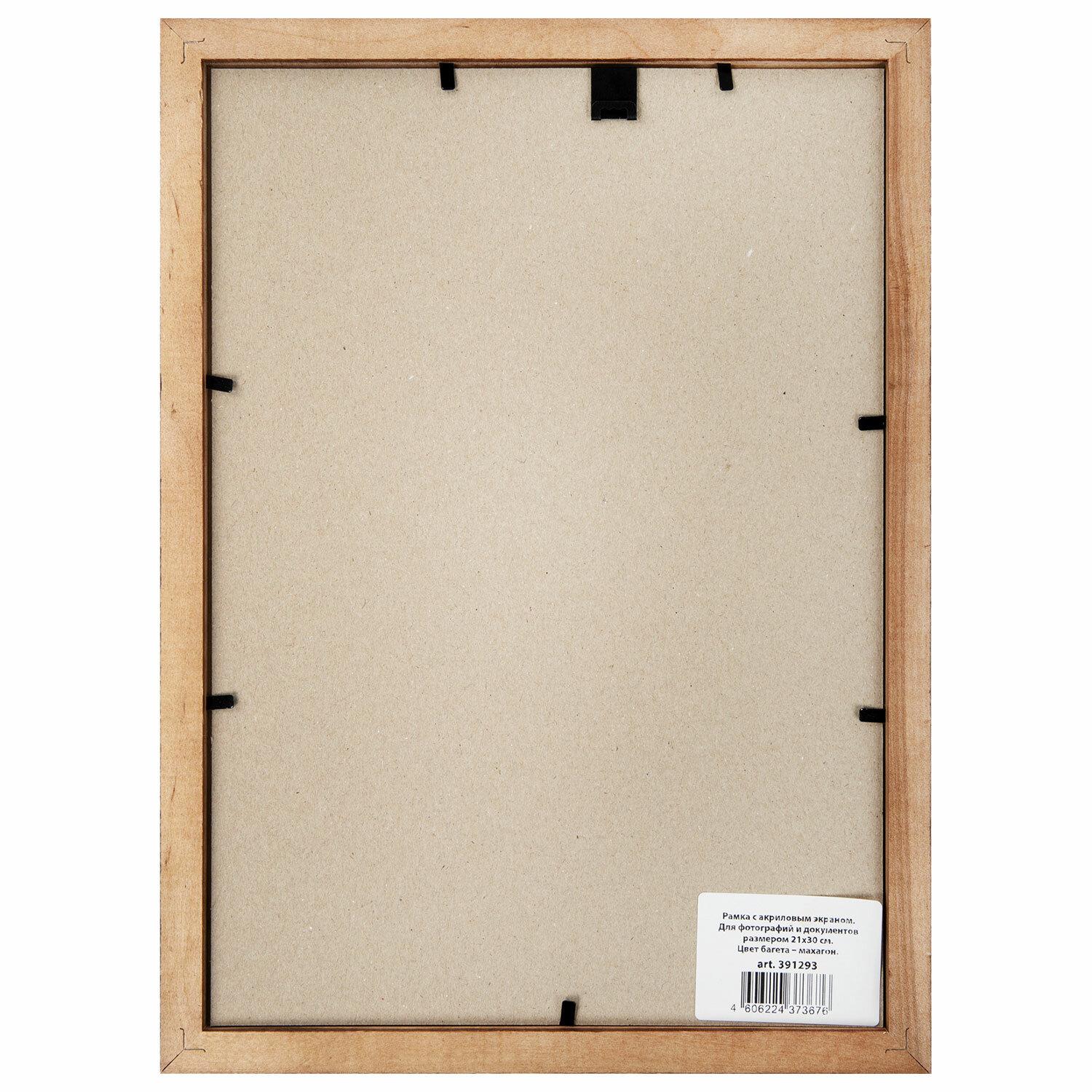 2130 , ,  20 , BRAUBERG Business, ,  , 391293