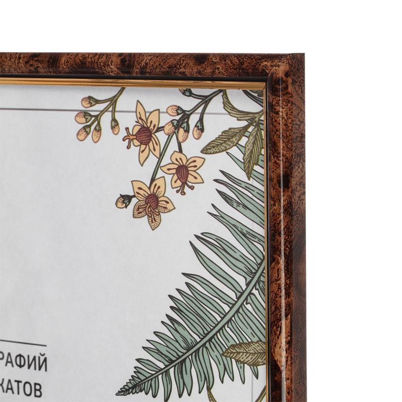   Attache 21x30 (A4)   582    