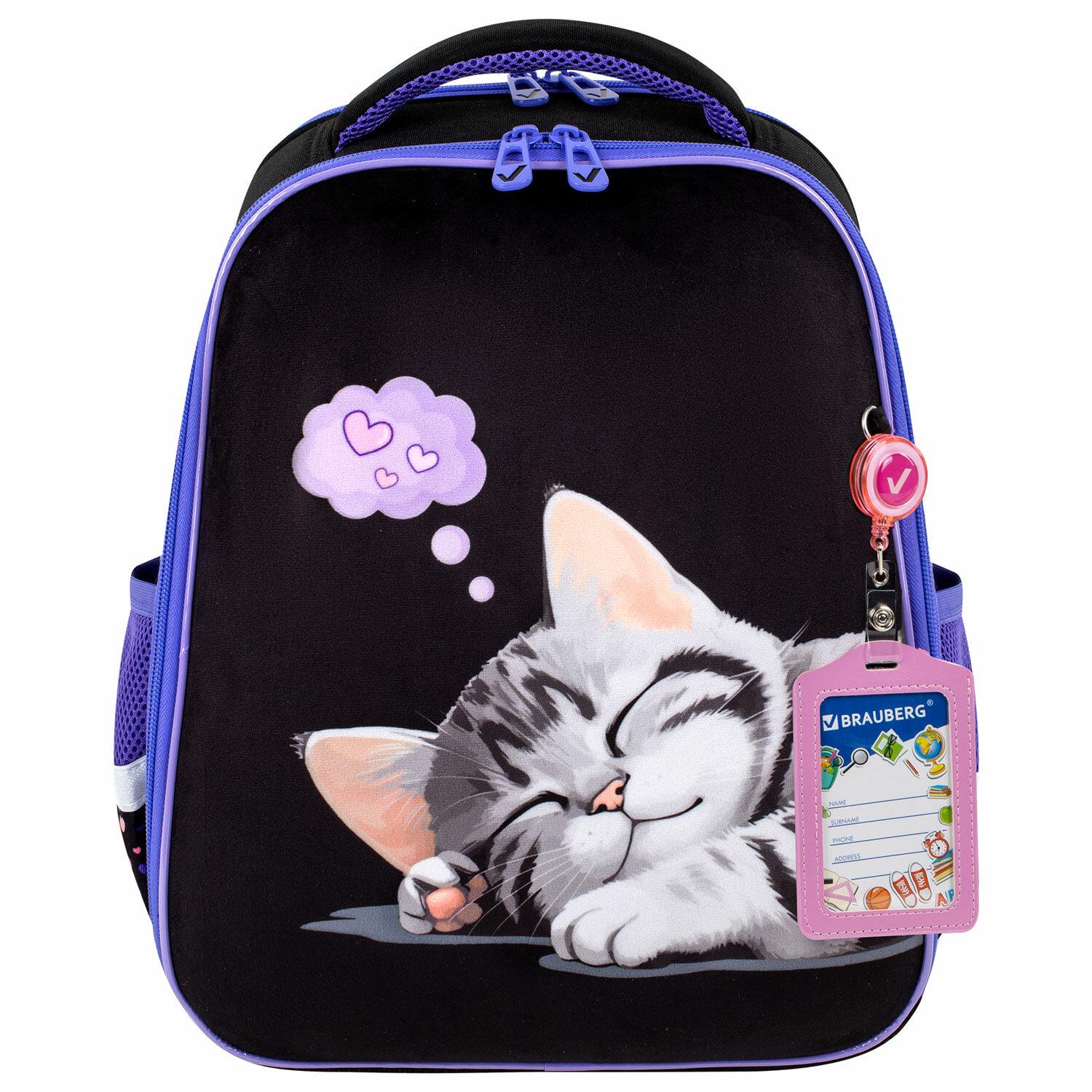  BRAUBERG FIT, 2 , Sleeping kitten,  , 382714 , 273107
