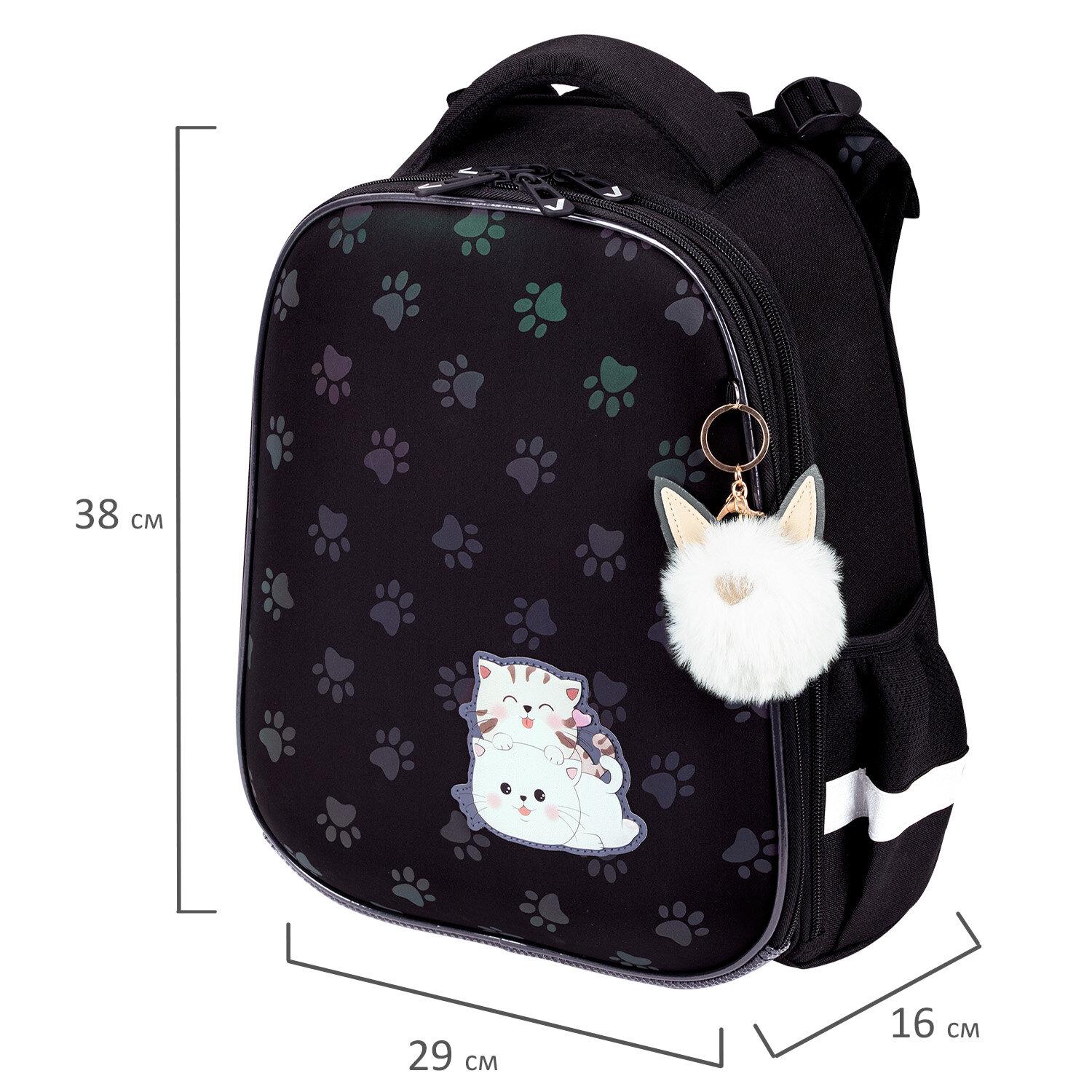 BRAUBERG LUMINOUS, 2 ,  , Paws,  , 382916 , 271366