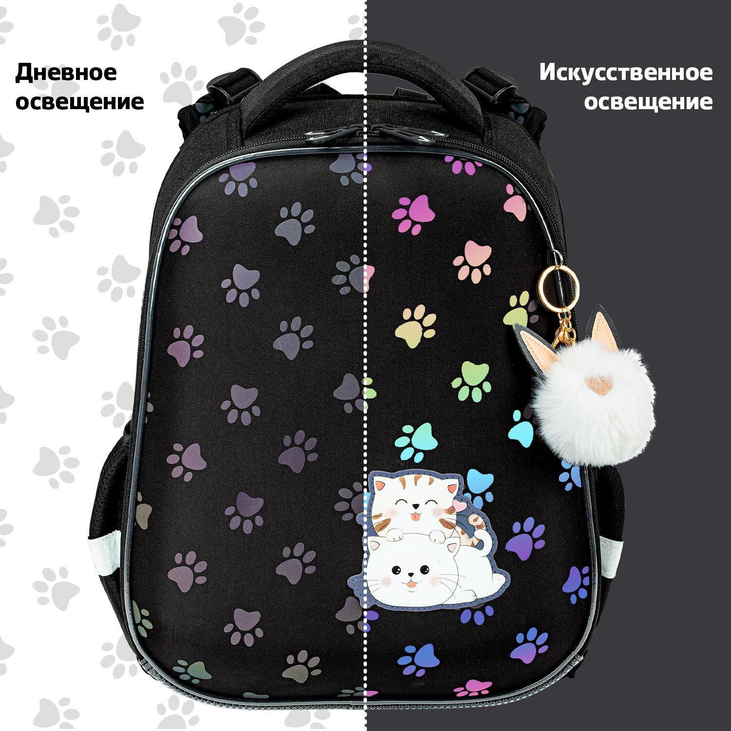  BRAUBERG LUMINOUS, 2 ,  , Paws,  , 382916 , 271366