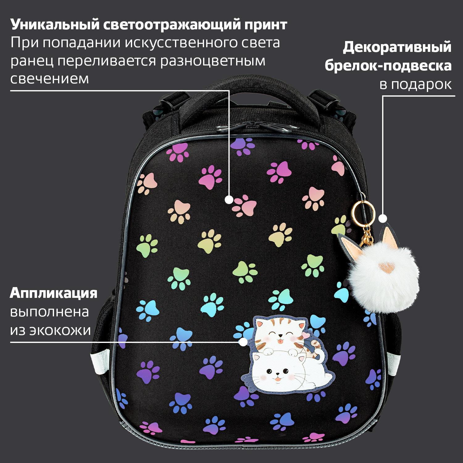  BRAUBERG LUMINOUS, 2 ,  , Paws,  , 382916 , 271366