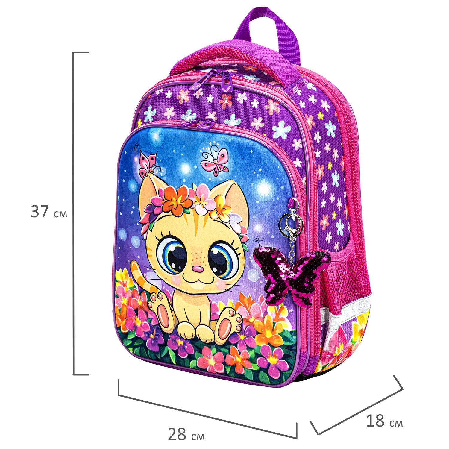  BRAUBERG QUADRO, 3 ,  , Charming kitten, 372818 , 270602