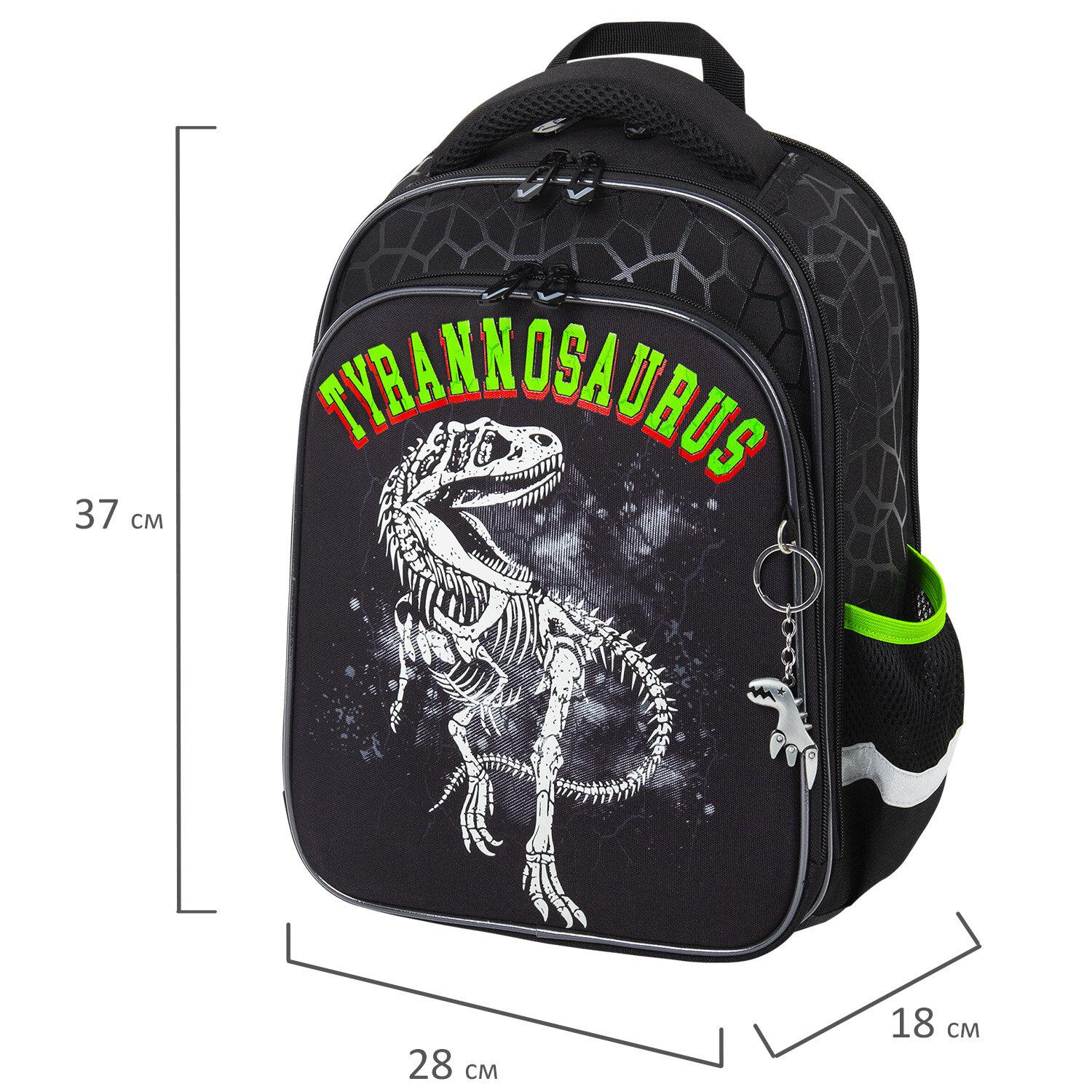  BRAUBERG QUADRO, 3 ,  , Tyrannosaur, , 372818 , 272021