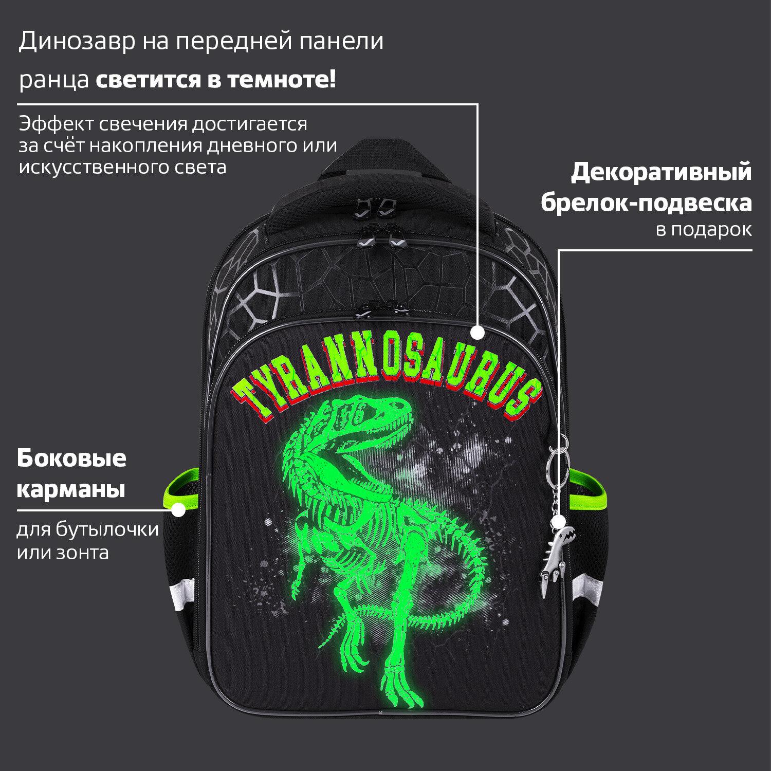  BRAUBERG QUADRO, 3 ,  , Tyrannosaur, , 372818 , 272021