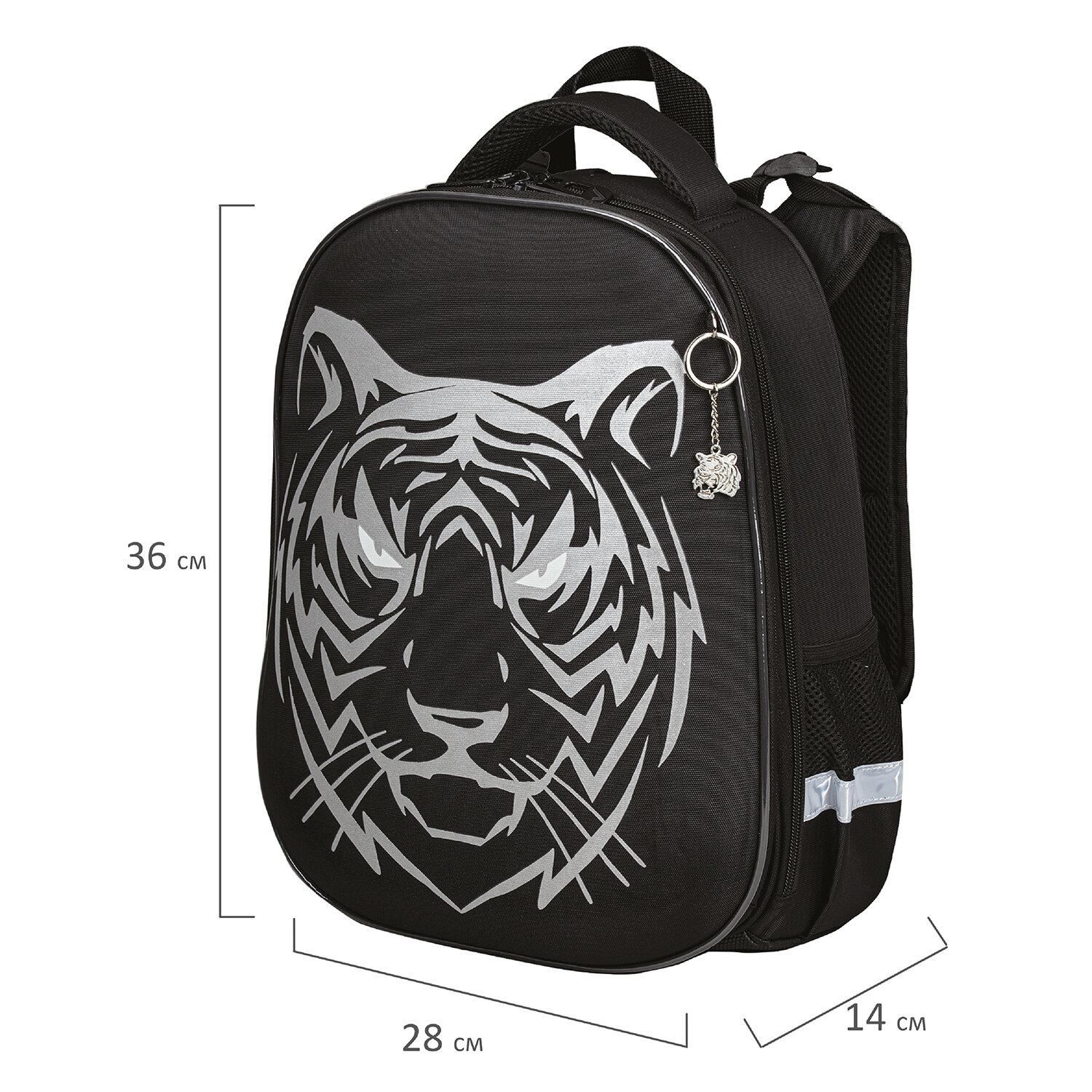 BRAUBERG SHINY, 2 , Tiger,  , 362814 , 270698