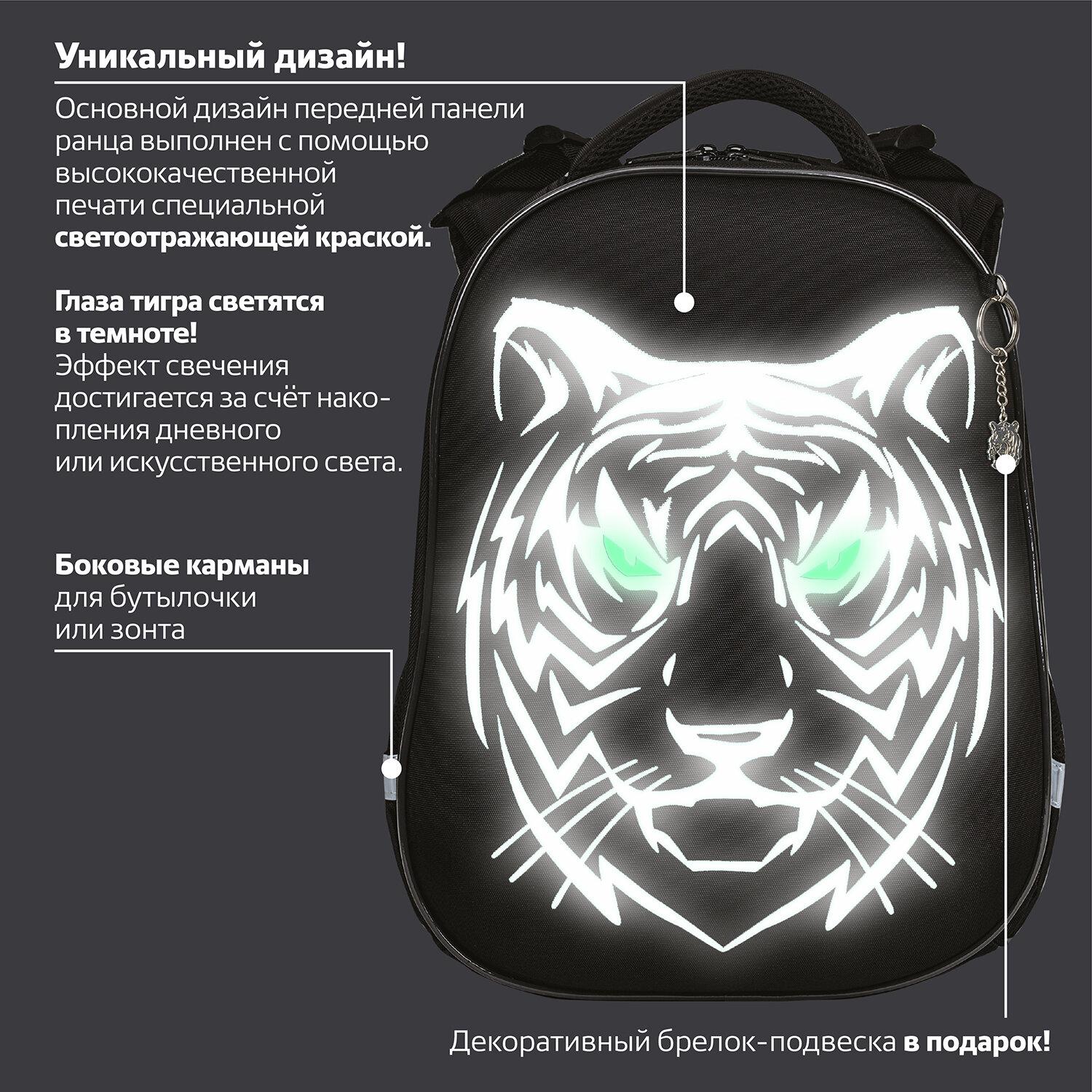  BRAUBERG SHINY, 2 , Tiger,  , 362814 , 270698