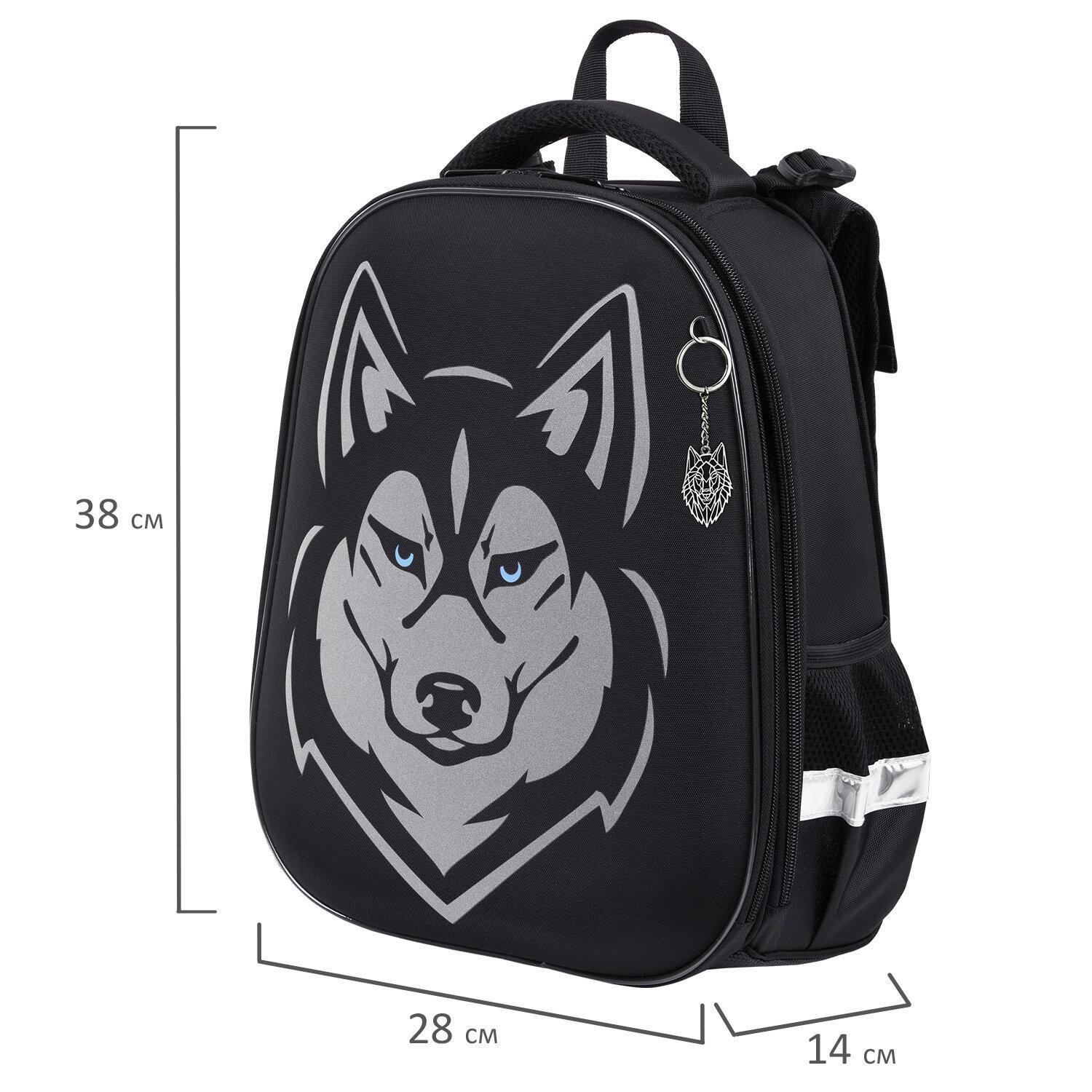  BRAUBERG SHINY, 2 ,  , Husky,  , 382814 , 271383