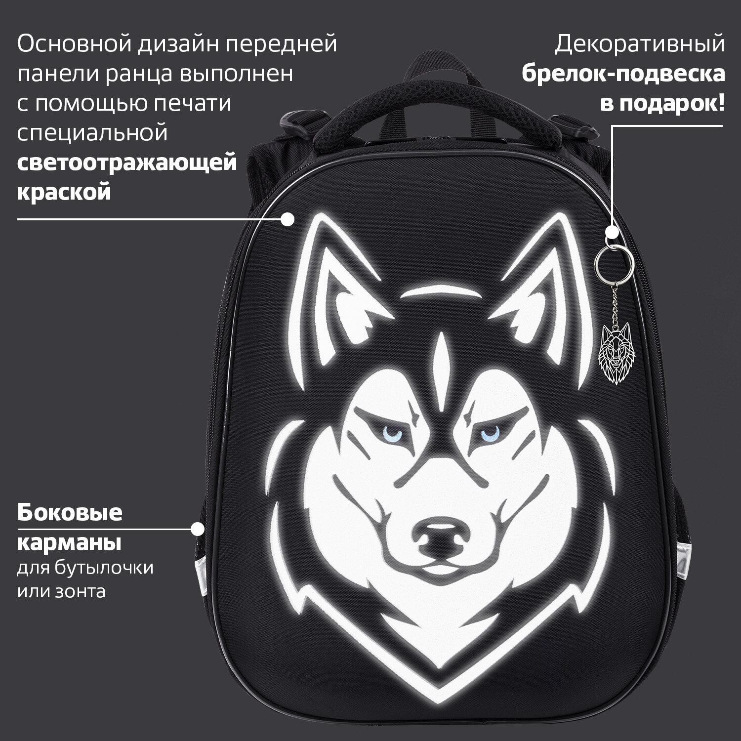  BRAUBERG SHINY, 2 ,  , Husky,  , 382814 , 271383