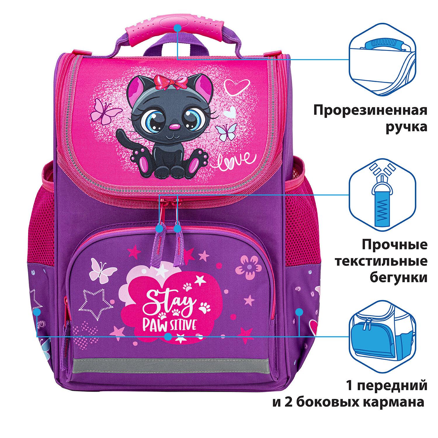   BASIC,   , Black kitten, 352818 , 270681