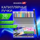   (), 36 , BRAUBERG ART, 