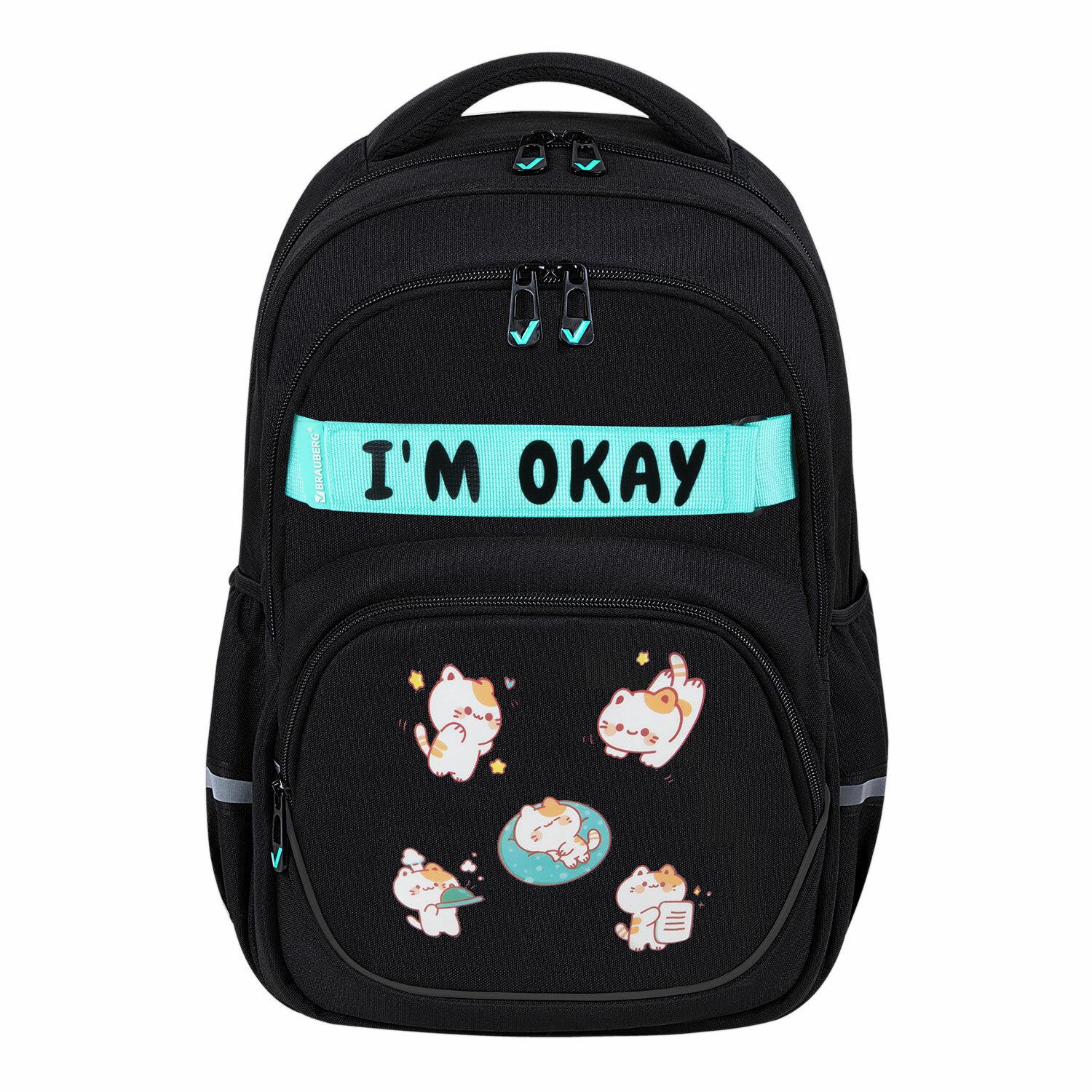  BRAUBERG MOTION, 2 , 3 , Positive cats, 412817 , 273114