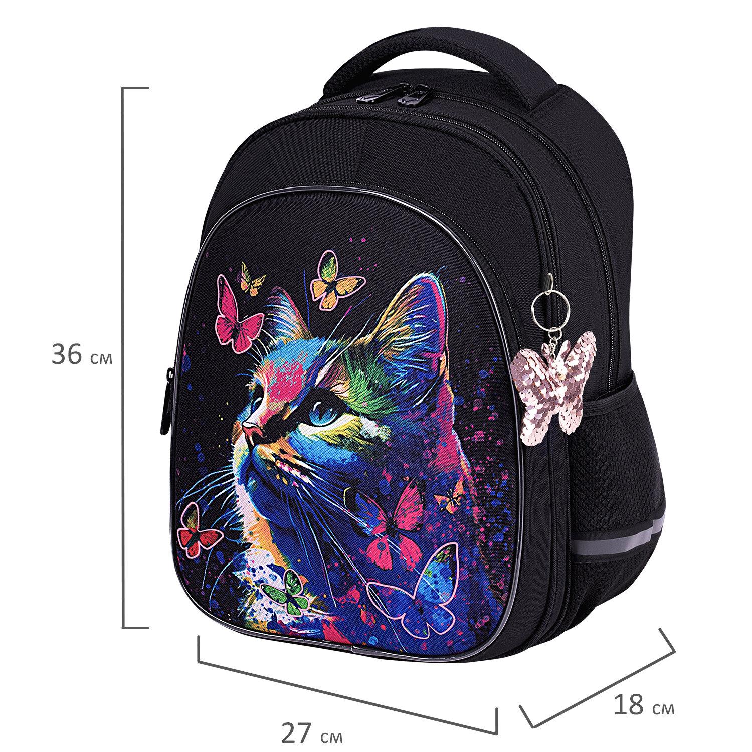  BRAUBERG OPTIMA, 2 ,  , Butterfly catcher, , 362718 , 272097
