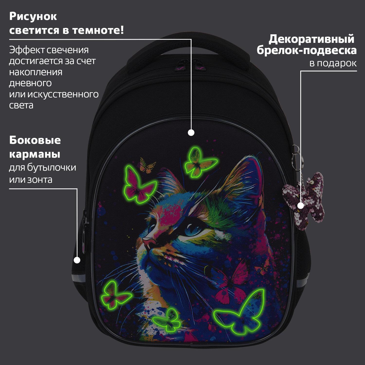  BRAUBERG OPTIMA, 2 ,  , Butterfly catcher, , 362718 , 272097