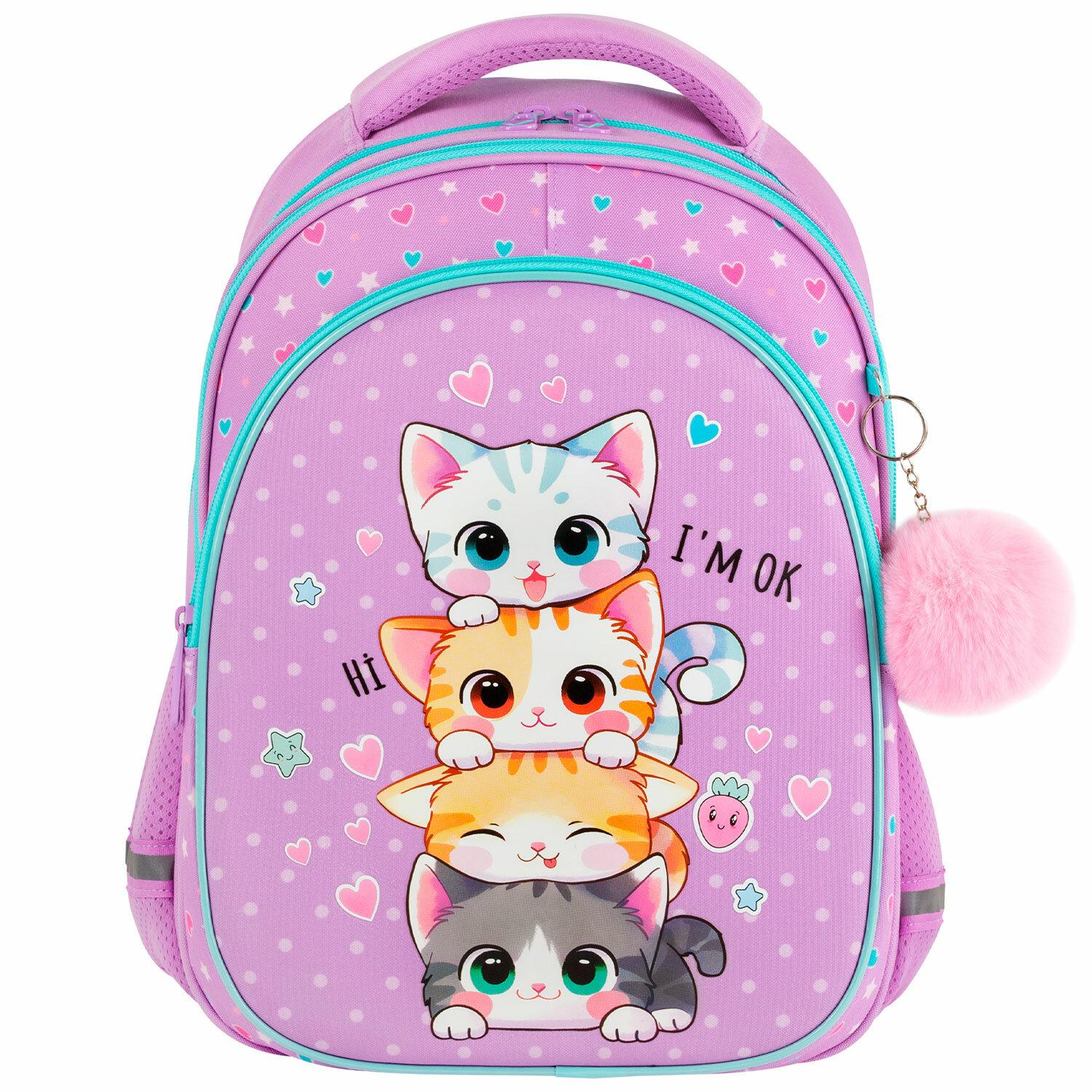  BRAUBERG OPTIMA, 2 ,  , Funny kittens, 362718 , 273156