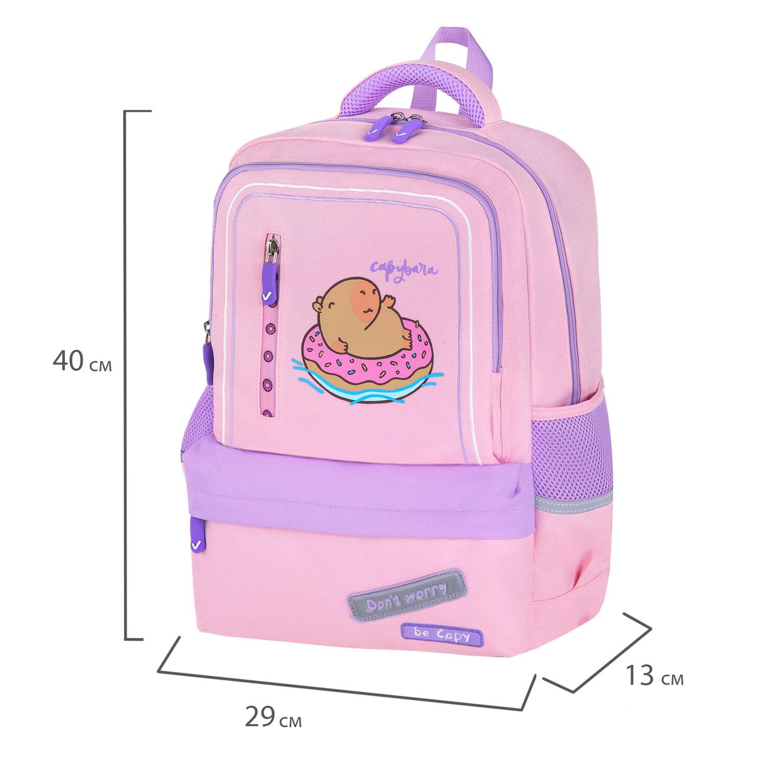  BRAUBERG STAR, 1 , 5 , Capybara, , 40x29x13 , 272062