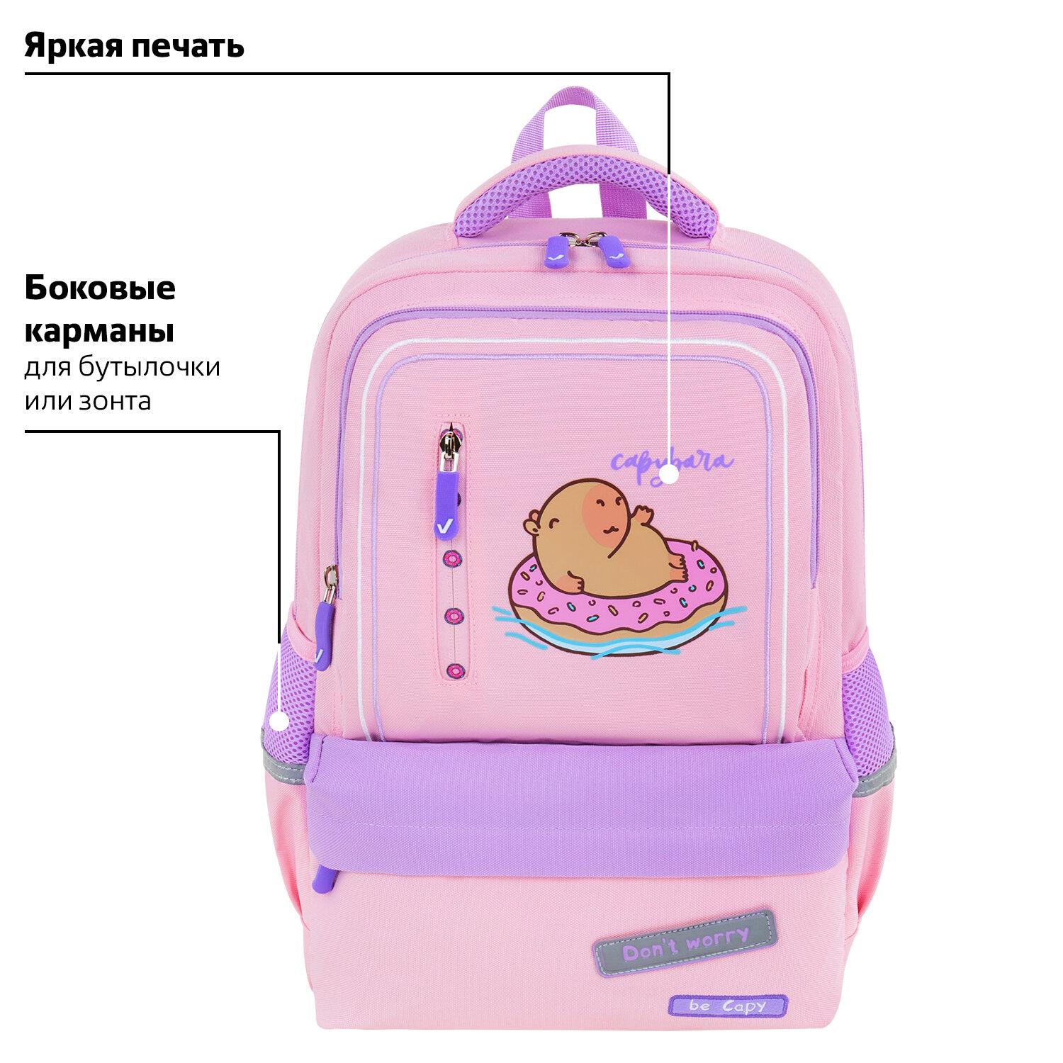  BRAUBERG STAR, 1 , 5 , Capybara, , 40x29x13 , 272062