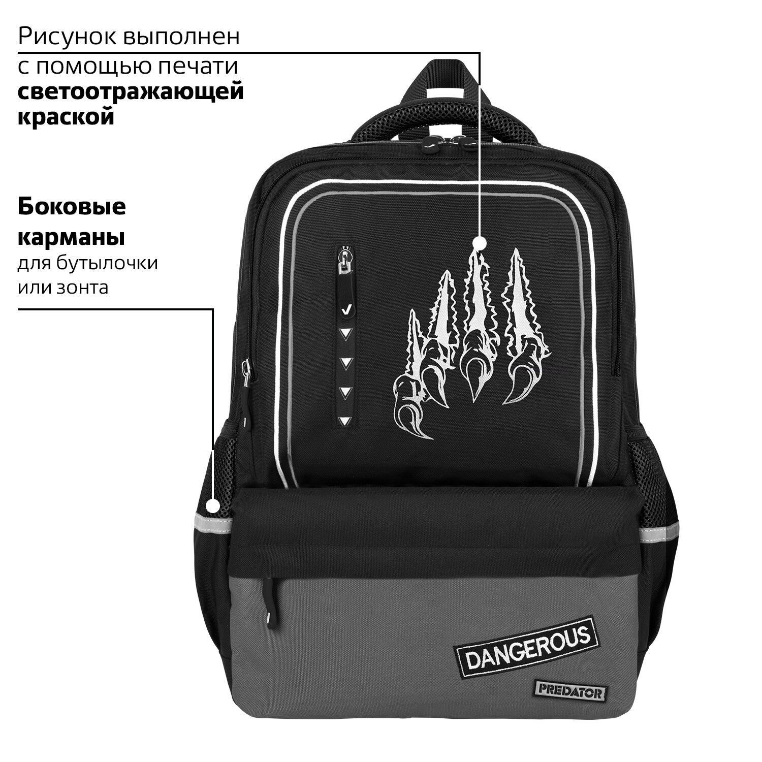 ������ BRAUBERG STAR, 1 ���������, 5 ��������, Claws, ������, 40x29x13 ��, 272061