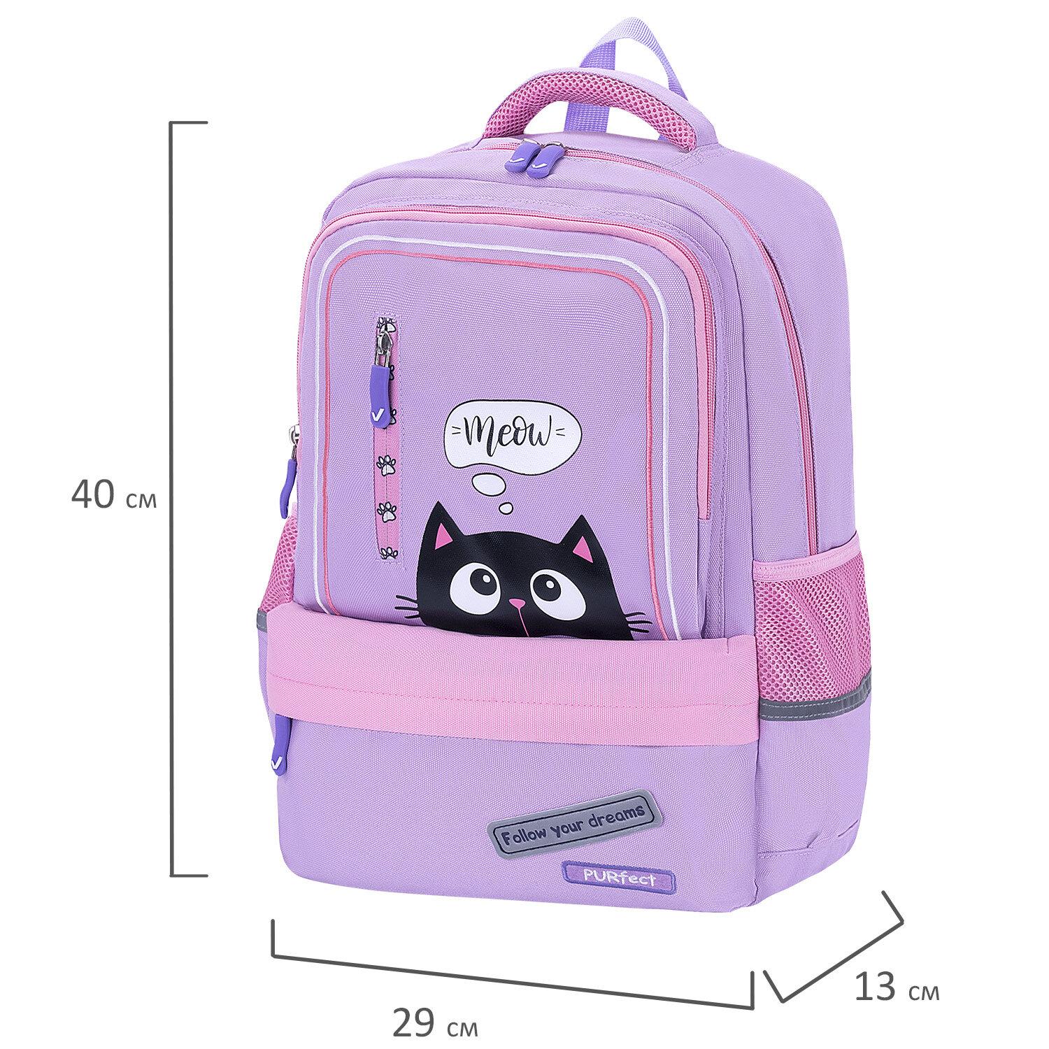  BRAUBERG STAR, 1 , 5 , Dreamy cat, , 40x29x13 , 271424