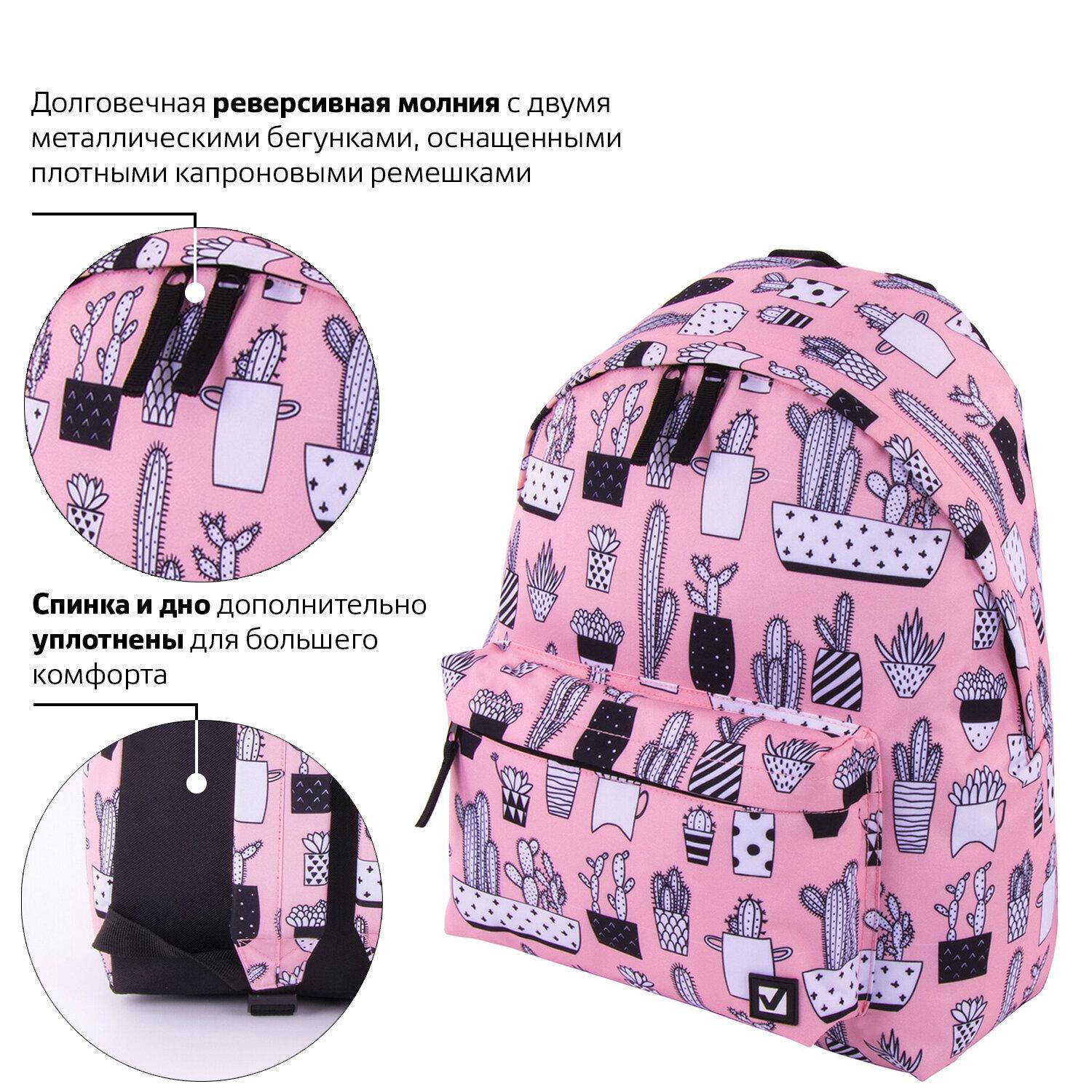  BRAUBERG, , -, , 20 , 413214 , 228859