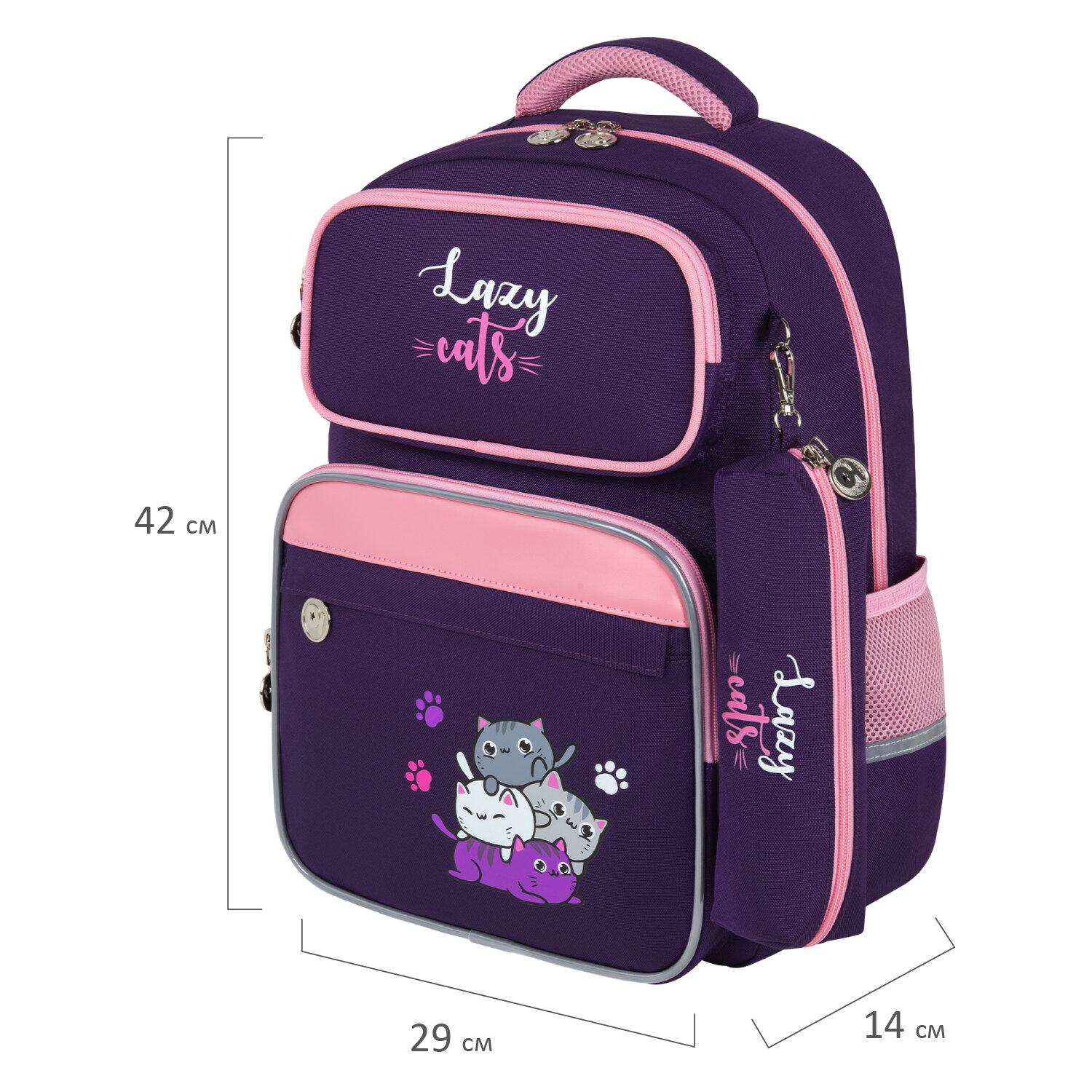 ������ �������� COMPLETE, � ������� � ���������, ����-������, Cat pile, 42�29�14 ��, 272056