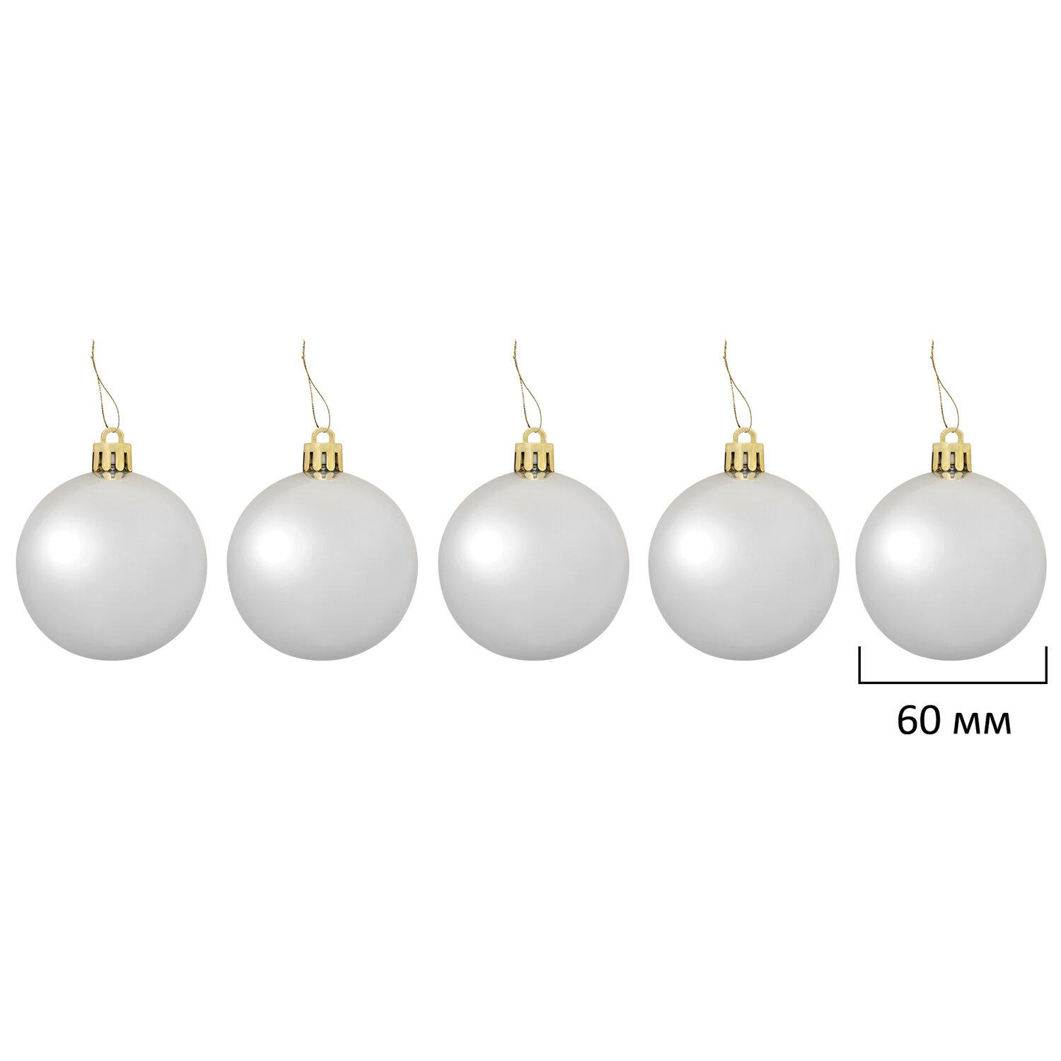    Champagne 55 ,  /,  , 591719
