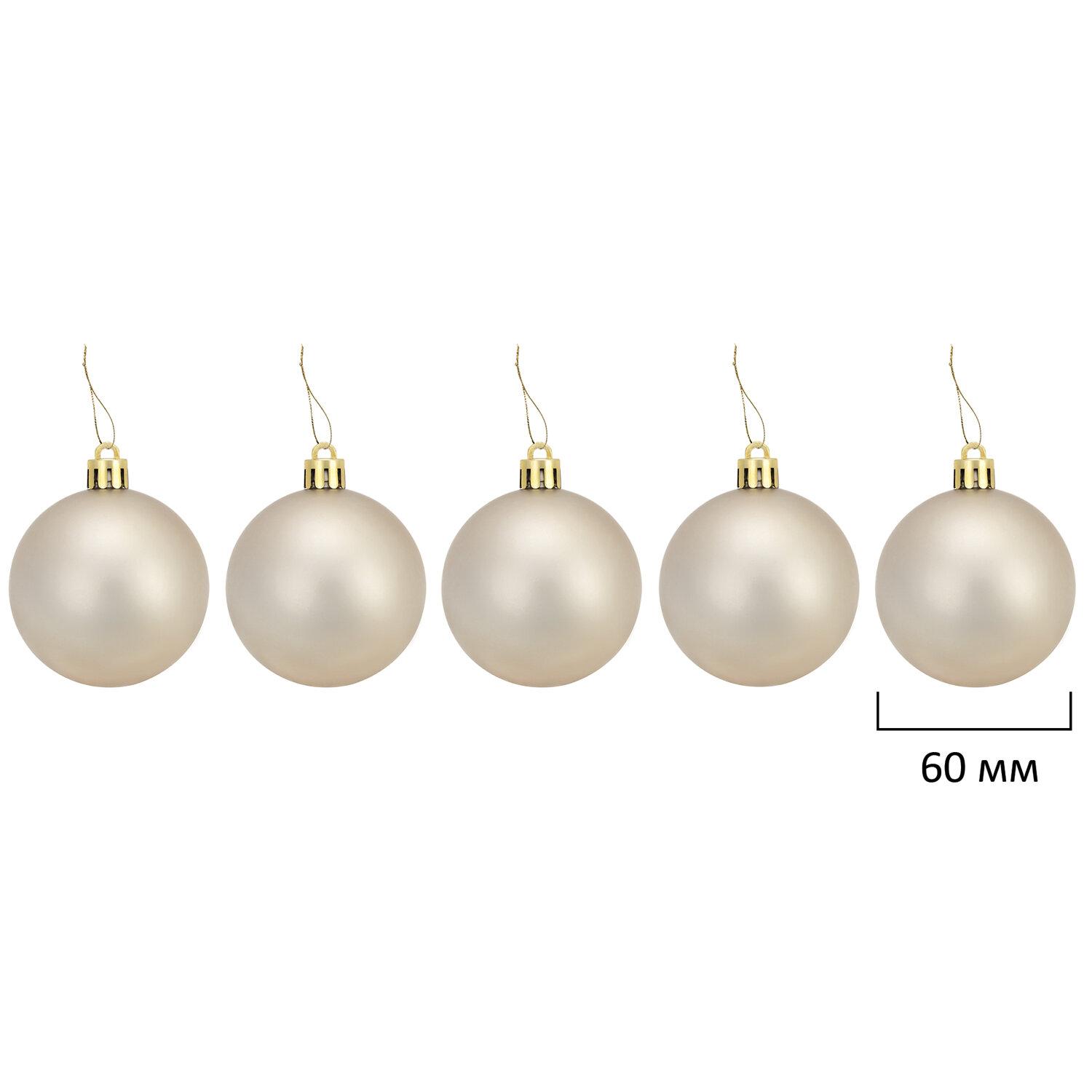    Champagne 55 ,  /,  , 591719