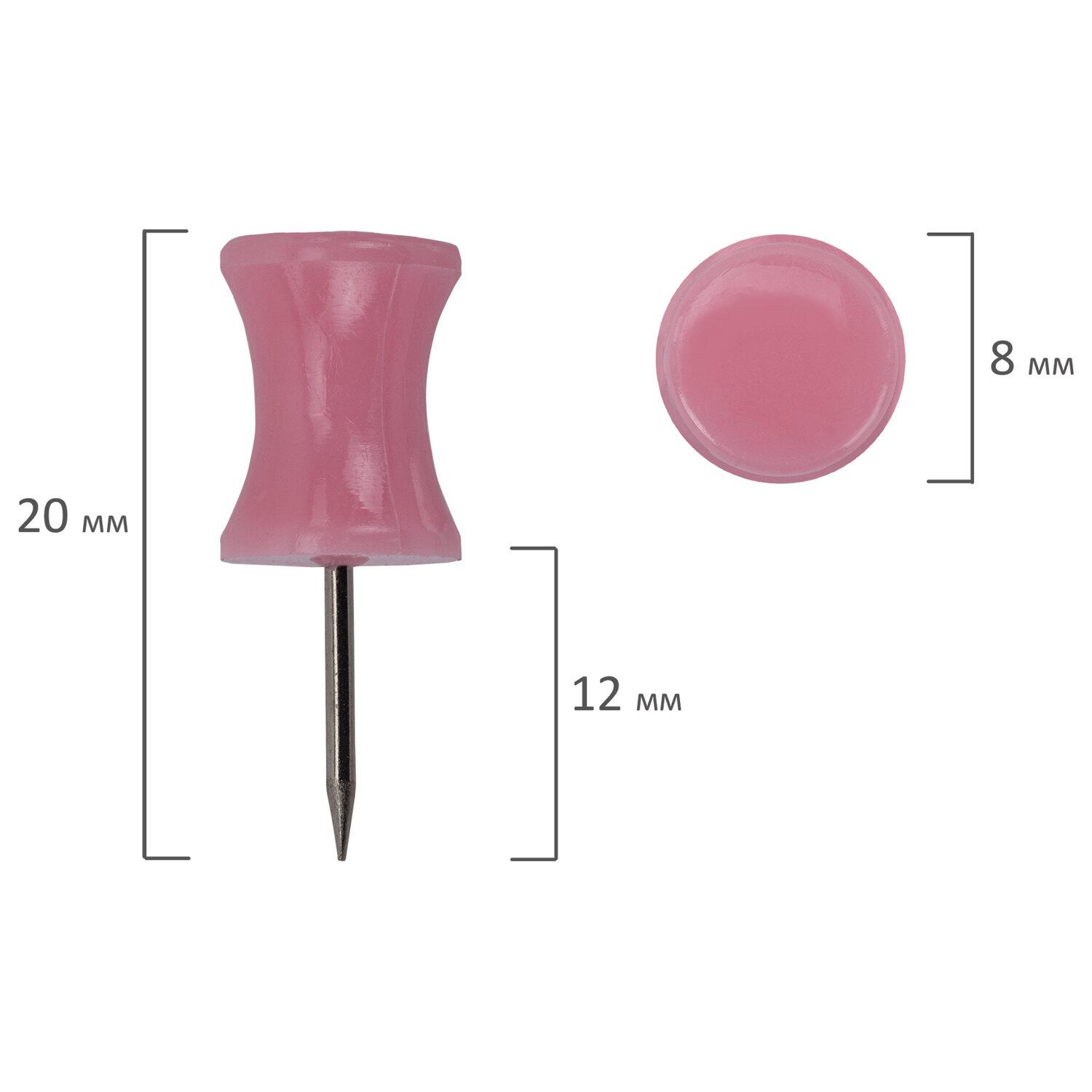  - BRAUBERG PASTEL,  , 30 , 12 , 272756