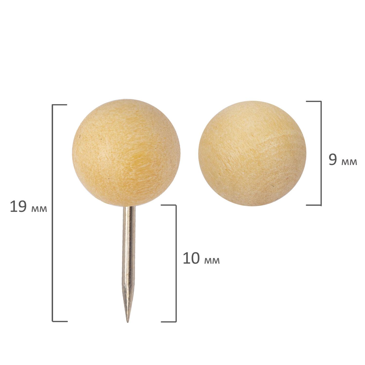  - BRAUBERG WOOD,  (), 50 , 10 , 272761